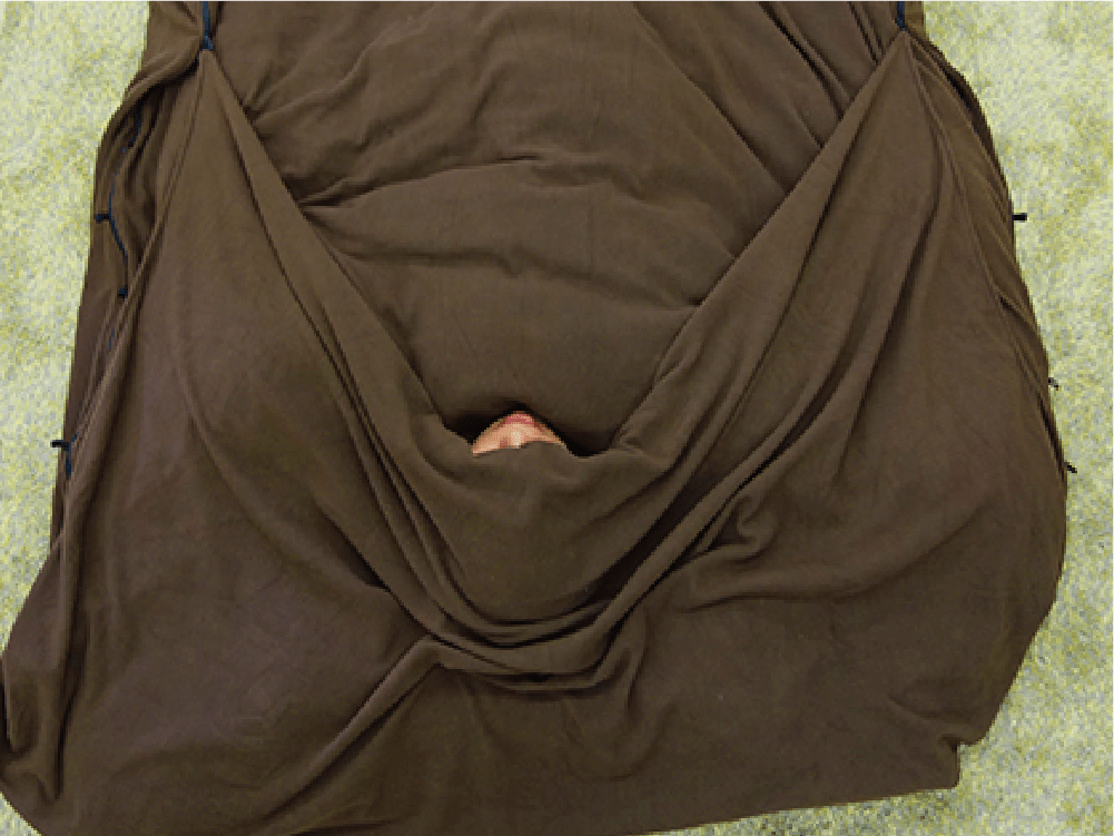 画像：もうふくろう