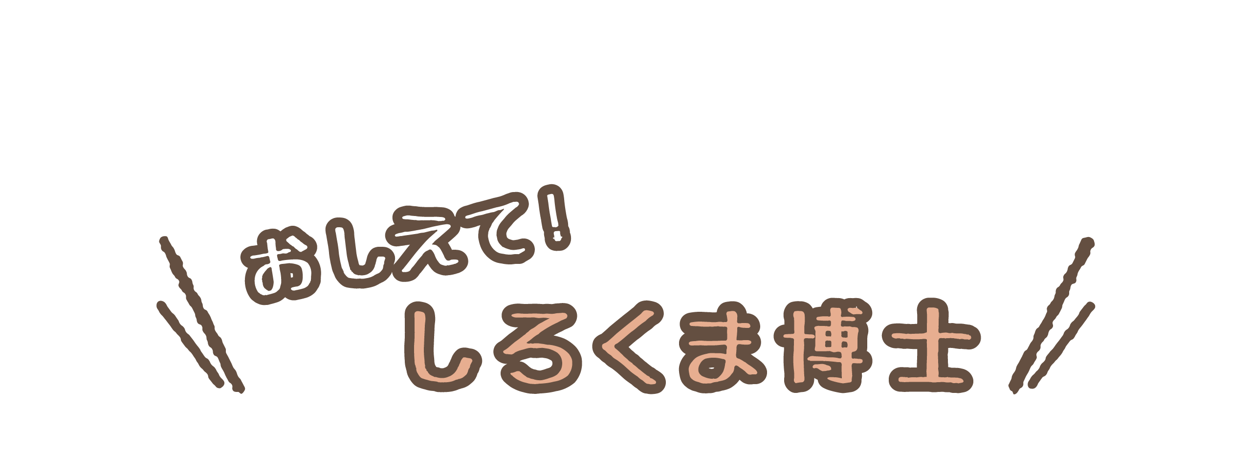 おしえて！しろくま博士